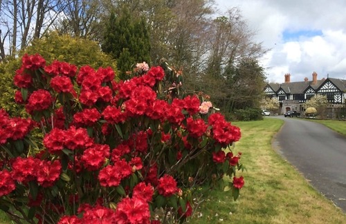 Bont Newydd House | Upper Lake Chalet , Dog and Pet Friendly
