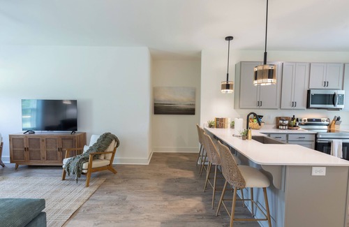 Central Apartment | Upscale Lodge Sleeps 9 Dog Friendly Near CU
