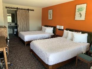 Greenville - Spartanburg Hotel | Urban Boutique Hotel; BW Signature Collection