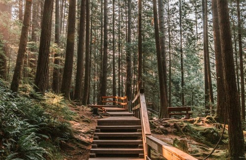 North Vancouver House | Urban /City Mountain Escape 🎿 🚵 - 2 Bedrooms (Your home away from home)