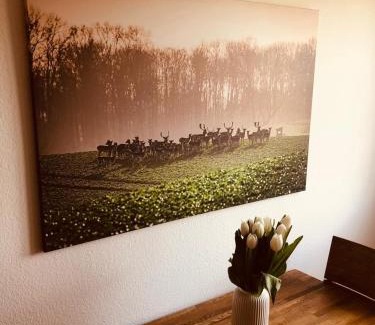Grossenbrode Apartment | Urlaub auf Mittelhof