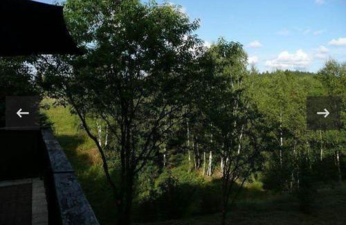 Tanne Other | Urlaub im Schlaffass - Harzperle Tanne