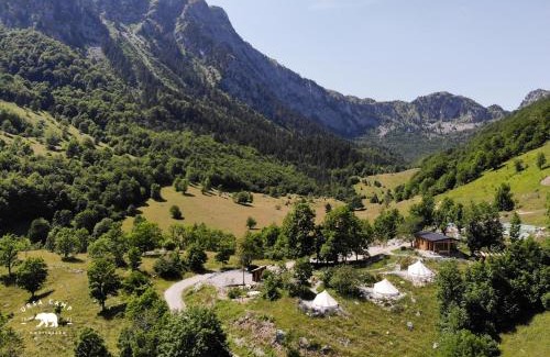 Kolasin Municipality Other | Ursa Camp