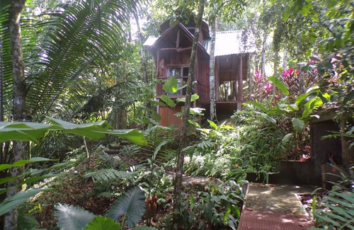 Uvita Cottage | Uvita Tree House! No Cleaning Fee!