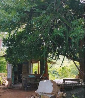 Ninh Hai Ski Chalet | vườn đá stone garden