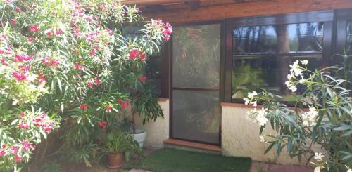 Punta Ala Apartment | Vacanza nella Natura