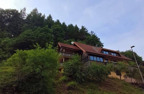 Bad Rippoldsau-Schapbach Apartment | Vacation apartment at the pond with Black Forest Plus card