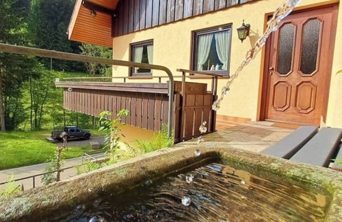 Bad Rippoldsau-Schapbach Apartment | Vacation apartment at the pond with Black Forest Plus card