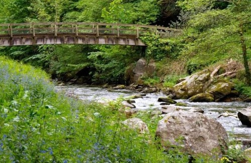Barbrook House | Vacation home Tree Tops in Barnstaple and Braunton - 4 persons, 2 bedrooms