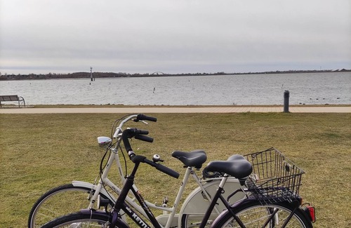Fehmarn Apartment | Vacation apartment/apartment for 2 guests with 25m² in Fehmarn OT Burgtiefe (51738)