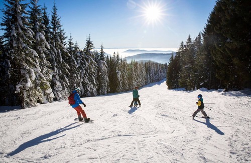 Feldberg Apartment | Vacation apartment/apartment for 5 guests with 62m² in Feldberg (Black Forest) (162881)