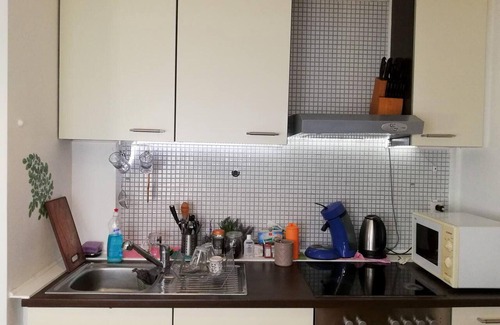 Villingen-Schwenningen Apartment | Vacation Apartment Near The Black Forest