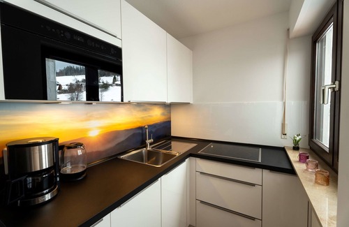 Todtnau Apartment | Vacation apartment/apartment for 2 guests with 39m² in Todtnau- Todtnauberg (250101)