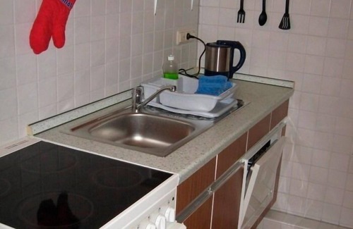 Buedelsdorf Apartment | Vacation apartment/apartment for 2 guests with 42m² in Büdelsdorf (3112)