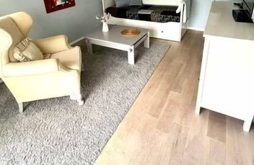 Schausende Apartment | Vacation apartment/apartment for 3 guests with 45m² in Glücksburg (163547)