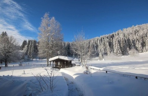 Blasiwald Apartment | Vacation apartment/apartment for 4 guests with 43m² in Schluchsee (268610)