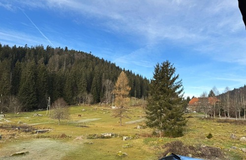 Blasiwald Apartment | Vacation apartment/apartment for 2 guests with 30m² in Schluchsee (268616)