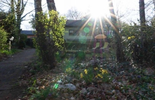 Ferienpark Himmelberg Apartment | Vacation apartment/apartment for 4 guests with 65m² in Thalfang (296499)