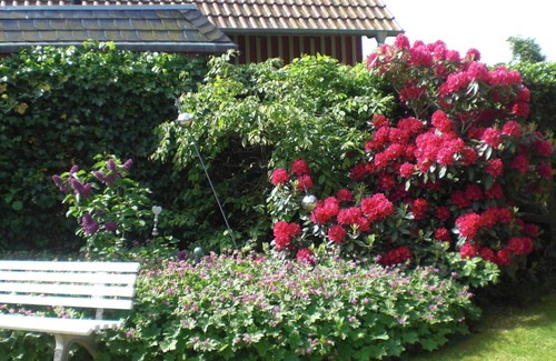 Presen Apartment | Vacation apartment/apartment for 5 guests with 64m² in Fehmarn (110739)