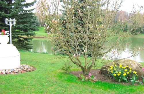 Groemitz Apartment | Vacation apartment/apartment for 2 guests with 40m² in Cismar (20218)