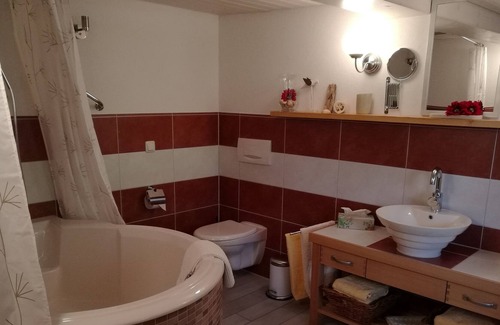 Frohnd Apartment | Vacation apartment/apartment for 4 guests with 95m² in Fröhnd (89654)