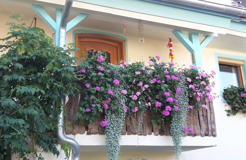 Herbolzheim Apartment | Vacation apartment 1 ground floor, 56 sqm, 1 bedroom, max. 5 persons