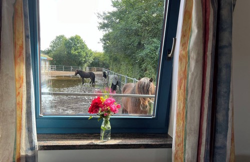 Osterby Apartment | Vacation apartment Isi-Blick for 4 up to persons - riding vacation