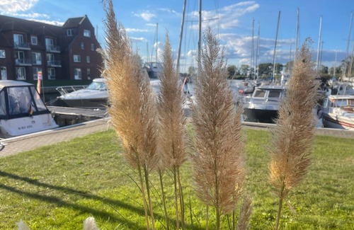 Ueckermuende Apartment | Vacation apartment/apartment for 4 guests with 55m² in Ueckermünde (55036)