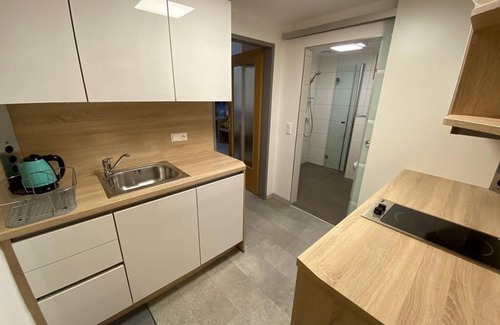Sarling Apartment | Vacation apartment in a cozy ambience and quiet location