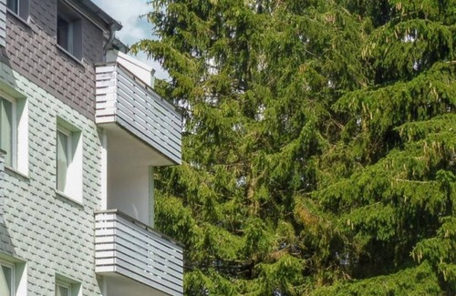 Landkreis Goslar Apartment | Vacation apartment Oberharz K-5-D-3