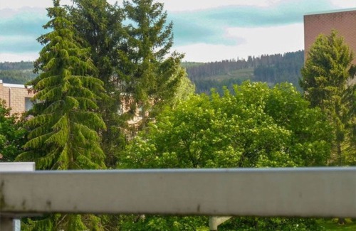 Landkreis Goslar Apartment | Vacation apartment Oberharz K-5-D-3