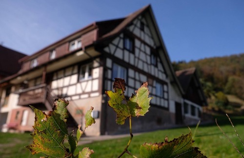 Ohlsbach Apartment | Vacation apartment Winzerstube