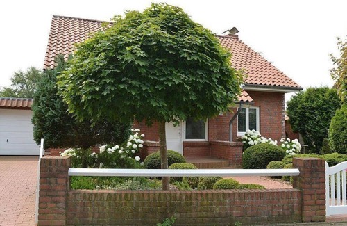Wees House | Vacation cottage Fjale