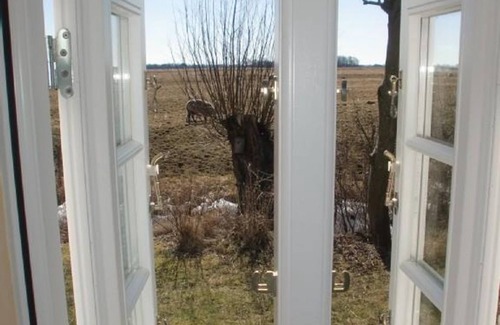 Tetenbull House | Vacation cottage Wasserkoog