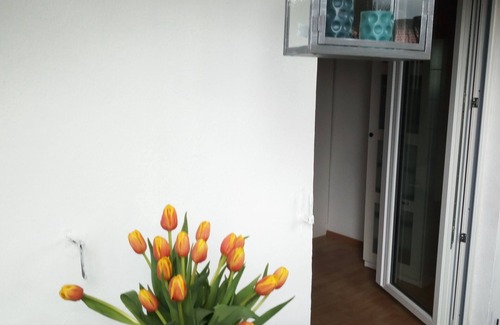 Villingen-Schwenningen Apartment | Vacation apartment/apartment for 4 guests with 60m² in Villingen-Schwenningen (119696)