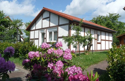 Hollern House | Vacation home 313 Kogge 60sqm up to 4 persons without pets - Ferienhaus Kogge im