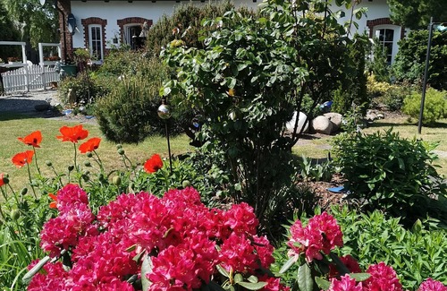 Polchow Apartment | Vacation home, 70sqm, max. 4 pers. - Lovingly managed guesthouse in Neddesitz on Rügen