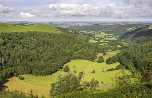 Aberystwyth House | Vacation home Bwthyn Cadair in Aberystwyth - 4 persons, 2 bedrooms