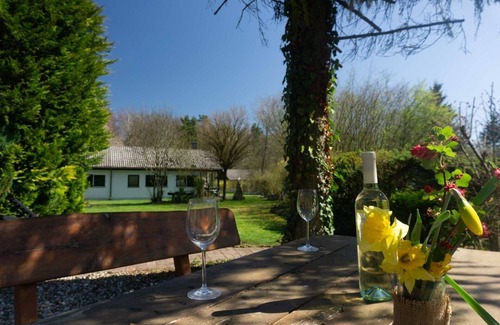 Ferienpark Himmelberg House | Vacation home for 4 guests with 75m² in Thalfang (296502)