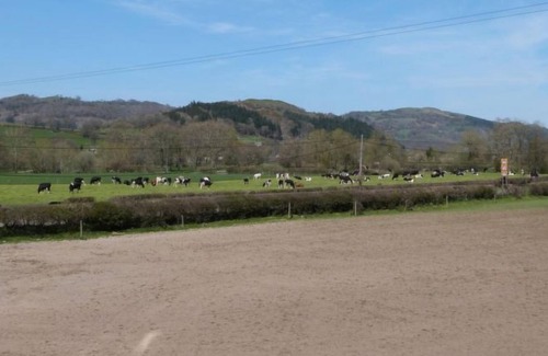 Meifod House | Vacation home Bwthyn Bach in Newtown - Welshpool - 2 persons, 1 bedrooms