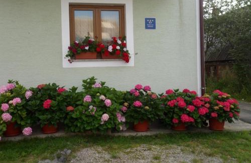 Krasno Polje House | Vacation home Kuća za Odmor