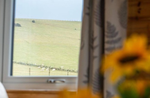 Kinross House | Vacation home Loch Leven Lodge 5 in Kinross - 6 persons, 3 bedrooms
