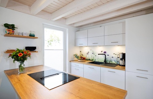 Nordhorn House | Vacation home with sauna, whirlpool, loft net, cooking island and gas fireplace