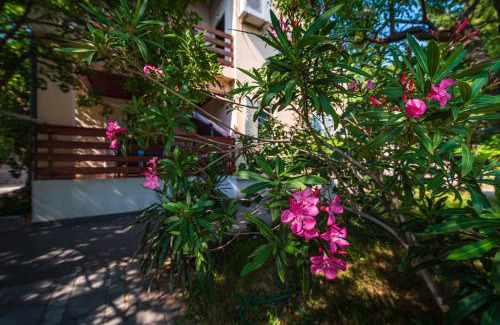Karlobag House | Vacation house Anna