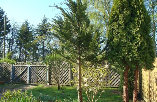 Rothenkirchen House | Vacation with dog, vacation home, 150m to the natural beach, fence + winter garden