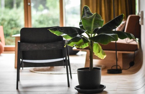 Ouddorp House | Vakantiepark de Klepperstee 7