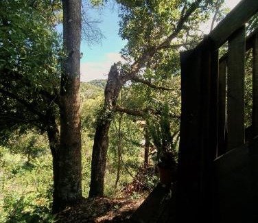 Copey House | Valchi Hospedaje de Montaña
