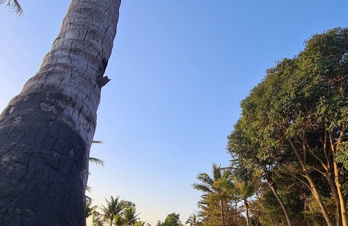 Vila Velha Ski Chalet | Vale do Lago Casa de Campo e Eventos