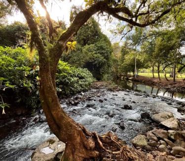 Riozinho Other | Vale do Rio Bonito Glamping