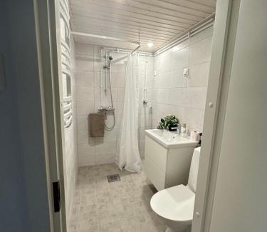 Jamsa Apartment | Valoisa yksiö 7km Himokselta